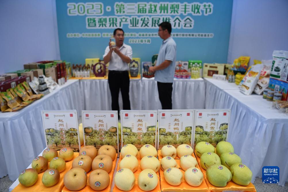 糖果派对倍数表